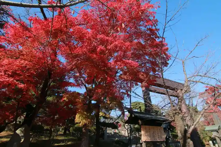 開成山大神宮の自然