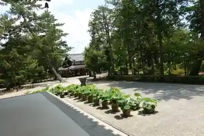 唐招提寺のその他建物