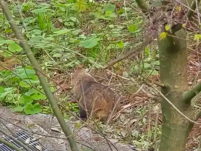 長谷寺(奈良県)