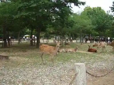 氷室神社(奈良県)