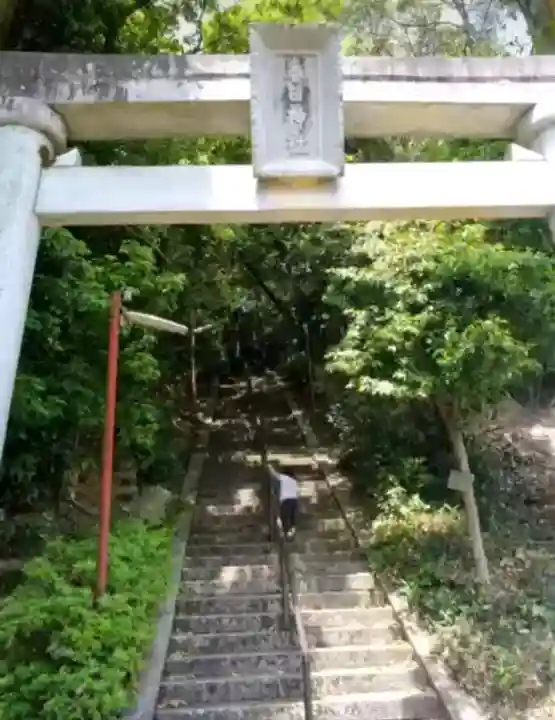 春日神社の{uncategorized: "未分類", other: "その他", undefined: "問題あり", building: "その他建物", grave: "お墓", sacred_gate: "鳥居", guardian: "狛犬", statue: "像", buddha: "仏像", history: "歴史", nature: "自然", garden: "庭園", animal: "動物", pagoda: "塔", temizu: "手水舎", mountain_gate: "山門・神門", sanctuary: "本殿・本堂", subordinate: "末社・摂社", art: "芸術", scenery: "景色", jizo: "地蔵", ema: "絵馬", goshuin: "御朱印", omikuji: "おみくじ", items: "授与品その他", amulet: "お守り", goshuincho: "御朱印帳", eats: "食事", festival: "お祭り", votive_dance: "神楽", shichigosan: "七五三参", wedding: "結婚式", experience: "体験その他", initially: "初詣", around: "周辺", anti_infection: "感染症対策"}