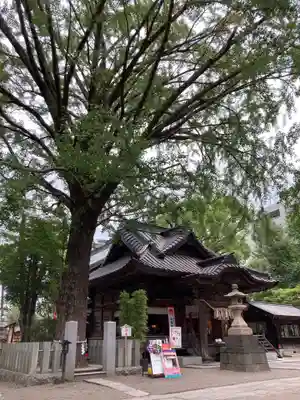 田無神社の本殿・本堂