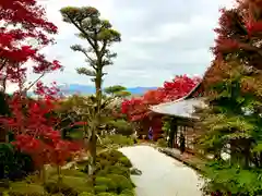 金福寺(京都府)