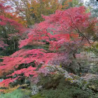 青蓮院門跡(京都府)