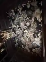 建仁寺(建仁禅寺)(京都府)