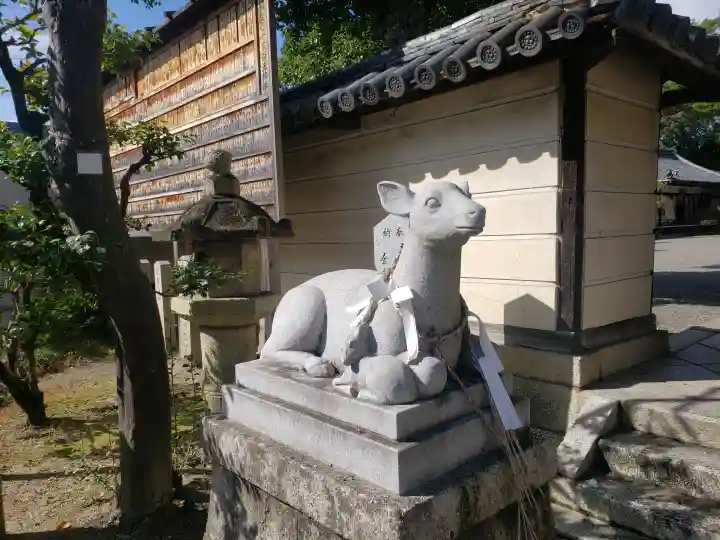立木神社の狛犬