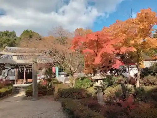 壺井八幡宮(大阪府)