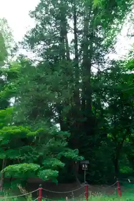 伊佐須美神社(福島県)