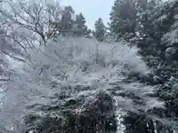 大宮温泉神社(栃木県)