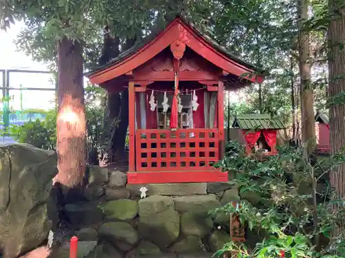 渋川八幡宮(群馬県)