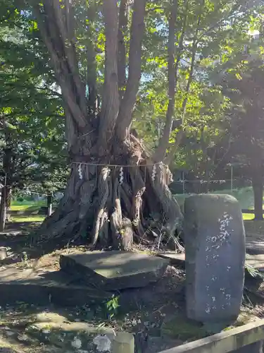 美幌神社(北海道)