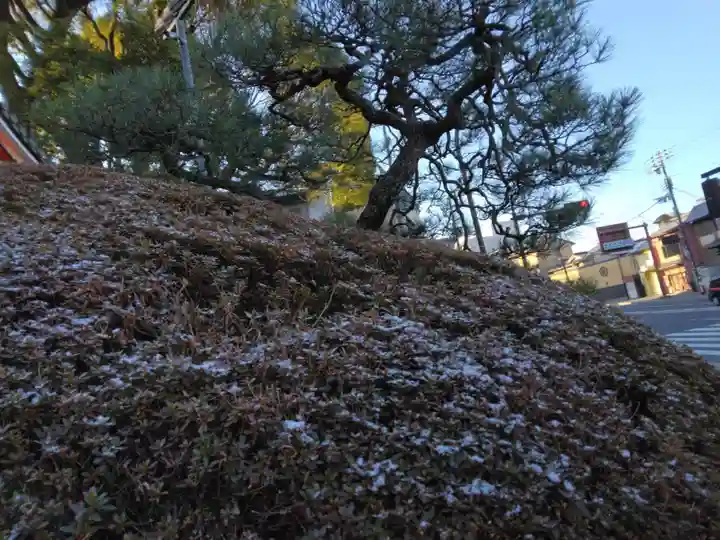 八坂神社(祇園さん)(京都府)