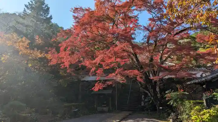 神藏寺(京都府)