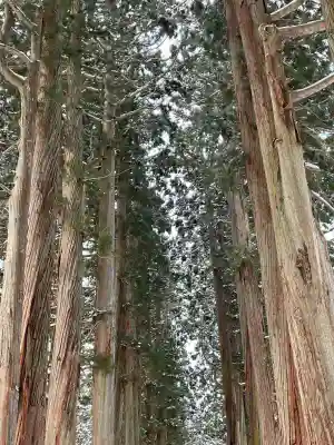 戸隠神社中社(長野県)