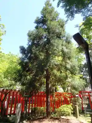 春日神社の自然