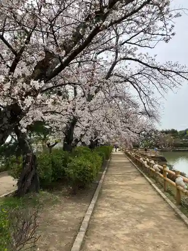 長岡天満宮(京都府)
