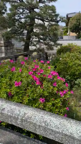 本法寺(京都府)