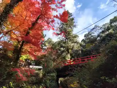 根来寺(和歌山県)