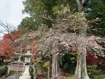 鹿島大神宮(福島県)