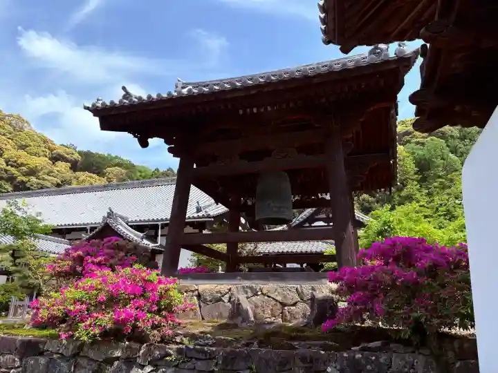 興聖寺(興聖寶林禅寺)の{uncategorized: "未分類", other: "その他", undefined: "問題あり", building: "その他建物", grave: "お墓", sacred_gate: "鳥居", guardian: "狛犬", statue: "像", buddha: "仏像", history: "歴史", nature: "自然", garden: "庭園", animal: "動物", pagoda: "塔", temizu: "手水舎", mountain_gate: "山門・神門", sanctuary: "本殿・本堂", subordinate: "末社・摂社", art: "芸術", scenery: "景色", jizo: "地蔵", ema: "絵馬", goshuin: "御朱印", omikuji: "おみくじ", items: "授与品その他", amulet: "お守り", goshuincho: "御朱印帳", eats: "食事", festival: "お祭り", votive_dance: "神楽", shichigosan: "七五三参", wedding: "結婚式", experience: "体験その他", initially: "初詣", around: "周辺", anti_infection: "感染症対策"}