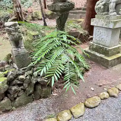 八幡宮來宮神社(静岡県)