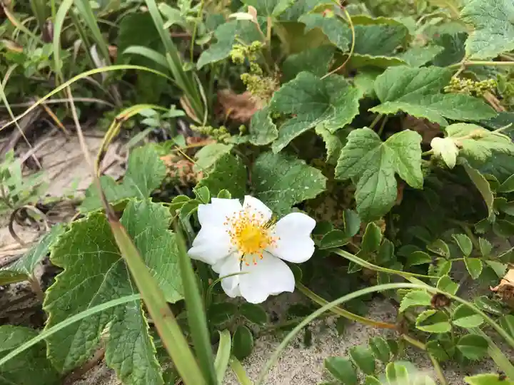 年毛神社(福岡県)