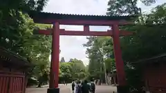 武蔵一宮氷川神社の鳥居