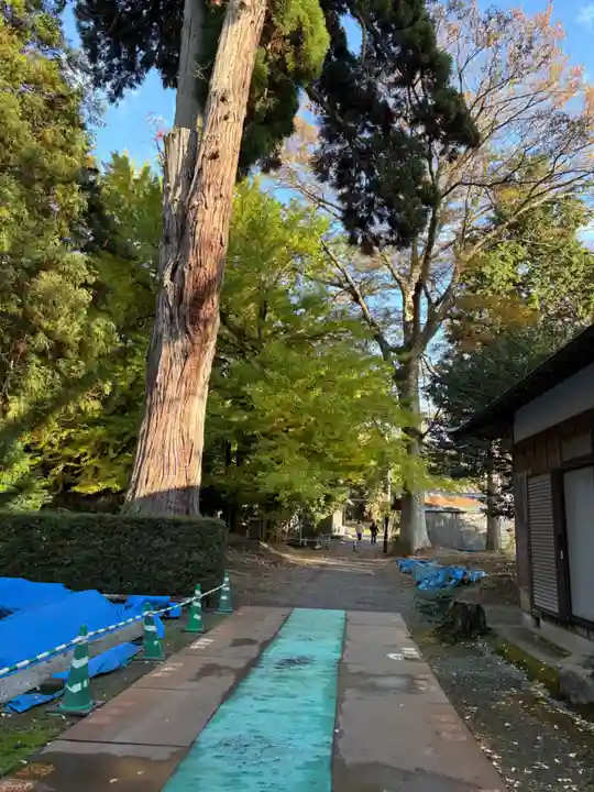 松尾寺(京都府)