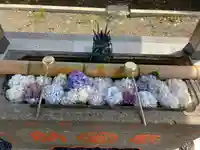 四天木稲生神社(千葉県)