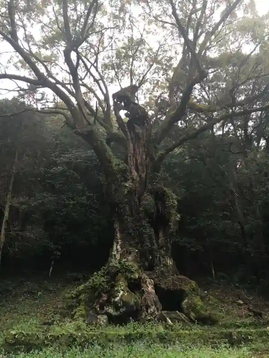 武雄神社(佐賀県)