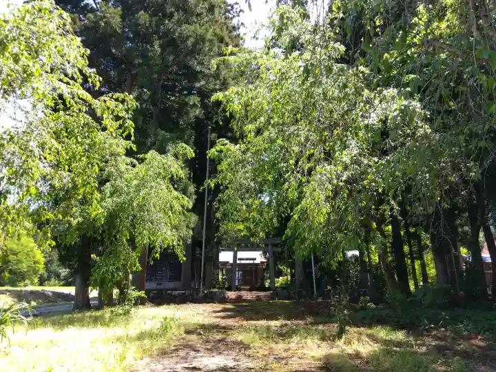 八幡神社(白山神社)の{uncategorized: "未分類", other: "その他", undefined: "問題あり", building: "その他建物", grave: "お墓", sacred_gate: "鳥居", guardian: "狛犬", statue: "像", buddha: "仏像", history: "歴史", nature: "自然", garden: "庭園", animal: "動物", pagoda: "塔", temizu: "手水舎", mountain_gate: "山門・神門", sanctuary: "本殿・本堂", subordinate: "末社・摂社", art: "芸術", scenery: "景色", jizo: "地蔵", ema: "絵馬", goshuin: "御朱印", omikuji: "おみくじ", items: "授与品その他", amulet: "お守り", goshuincho: "御朱印帳", eats: "食事", festival: "お祭り", votive_dance: "神楽", shichigosan: "七五三参", wedding: "結婚式", experience: "体験その他", initially: "初詣", around: "周辺", anti_infection: "感染症対策"}