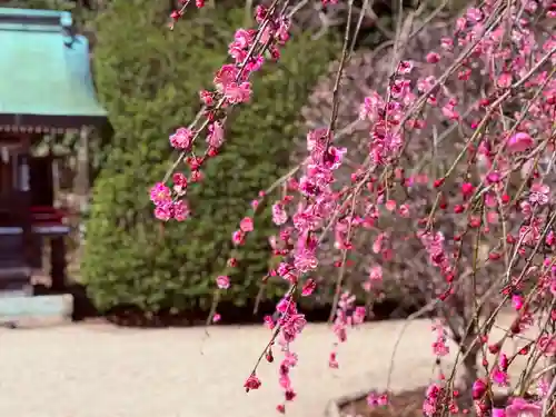 常宮神社(福井県)