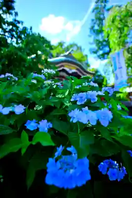 川越八幡宮(埼玉県)