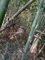 大歳神社の自然
