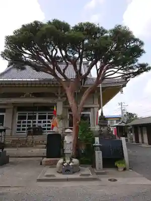 廣徳寺のその他建物