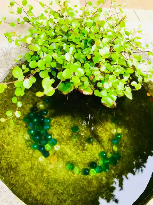 大宝八幡宮の手水舎