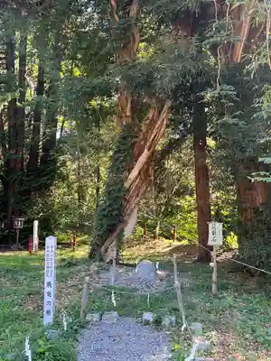 伊佐須美神社(福島県)