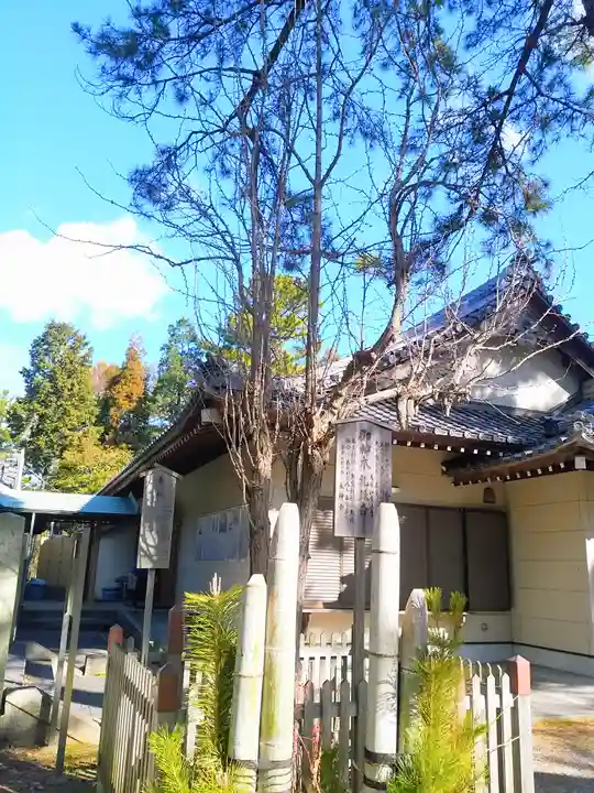 熊野神社の自然