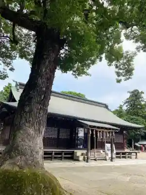 鷲宮神社の本殿・本堂