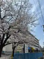 曹禅寺(東京都)