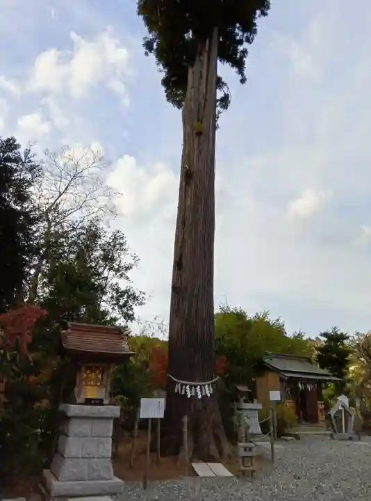 鶴峯八幡宮(千葉県)