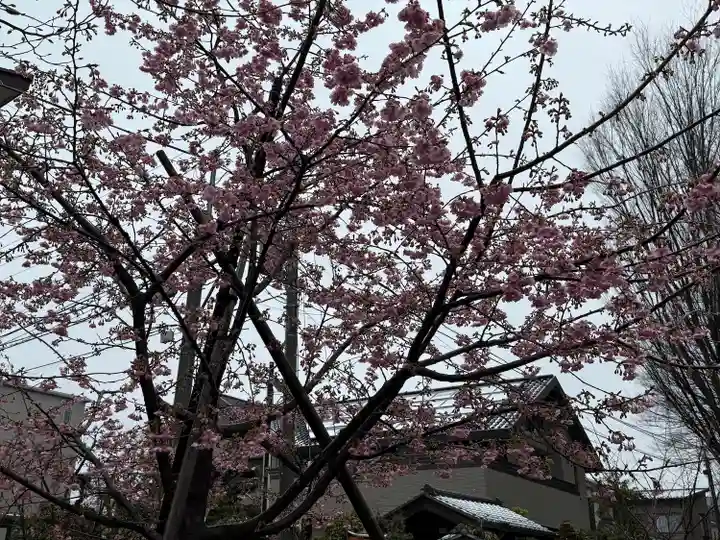 武蔵一宮氷川神社(埼玉県)