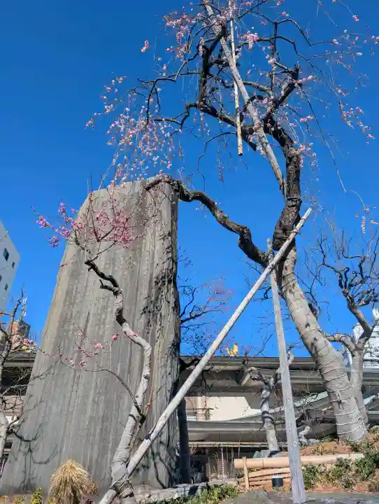湯島天満宮の{uncategorized: "未分類", other: "その他", undefined: "問題あり", building: "その他建物", grave: "お墓", sacred_gate: "鳥居", guardian: "狛犬", statue: "像", buddha: "仏像", history: "歴史", nature: "自然", garden: "庭園", animal: "動物", pagoda: "塔", temizu: "手水舎", mountain_gate: "山門・神門", sanctuary: "本殿・本堂", subordinate: "末社・摂社", art: "芸術", scenery: "景色", jizo: "地蔵", ema: "絵馬", goshuin: "御朱印", omikuji: "おみくじ", items: "授与品その他", amulet: "お守り", goshuincho: "御朱印帳", eats: "食事", festival: "お祭り", votive_dance: "神楽", shichigosan: "七五三参", wedding: "結婚式", experience: "体験その他", initially: "初詣", around: "周辺", anti_infection: "感染症対策"}