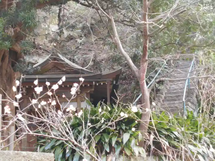 安國論寺(安国論寺)の自然