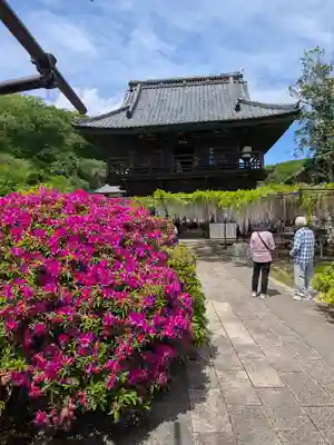 長泉寺(埼玉県)