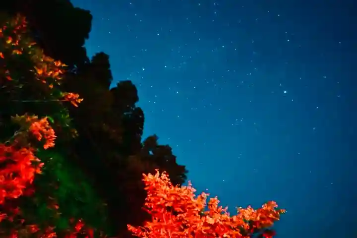 竹之高地不動社(新潟県)