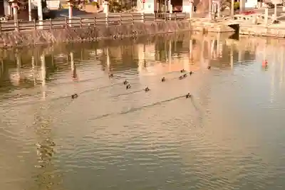 吉備津神社(広島県)