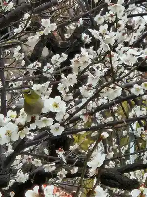 松山神社(大阪府)