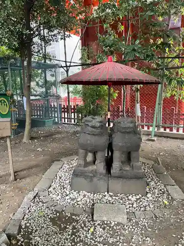 浅草神社の狛犬