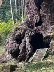 武雄神社の自然